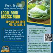 Copy of Green And Yellow Modern Gardening Services Instagram Post